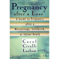 Pregnancy After a Loss: A Guide to Pregnancy after a Miscarriage, Stillbirth, or Infant Death
