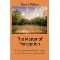 The Matter of Perception: A novel about manifesting a better life in the face of personal hardship