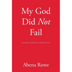 My God Did Not Fail: A testament of God's love amid the storm. - Paperback