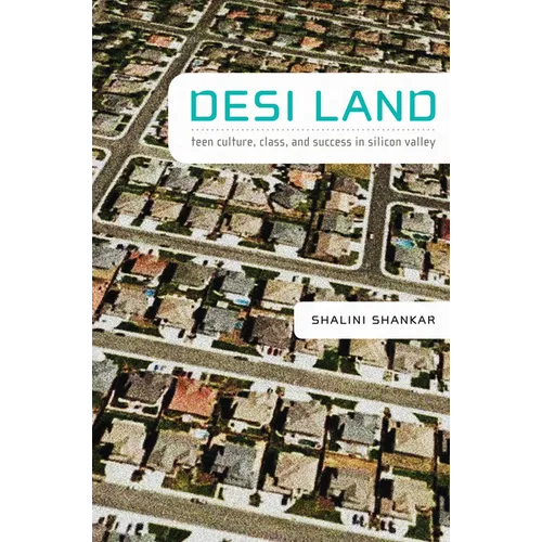Desi Land: Teen Culture, Class, and Success in Silicon Valley