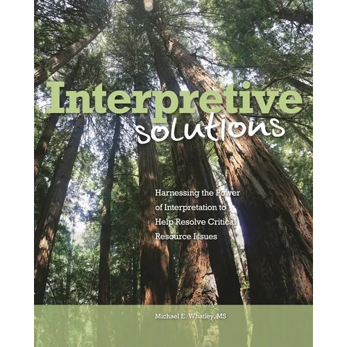 Interpretive Solutions