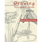 Drawing Florida Wildlife - Paperback