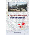 A Quiet Evening in CONNECTICUT