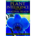 Plant Intelligence and the Imaginal Realm: Beyond the Doors of Perception Into the Dreaming of Earth