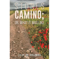 Stones on the Camino; or, What It Was Like