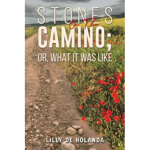 Stones on the Camino; or, What It Was Like