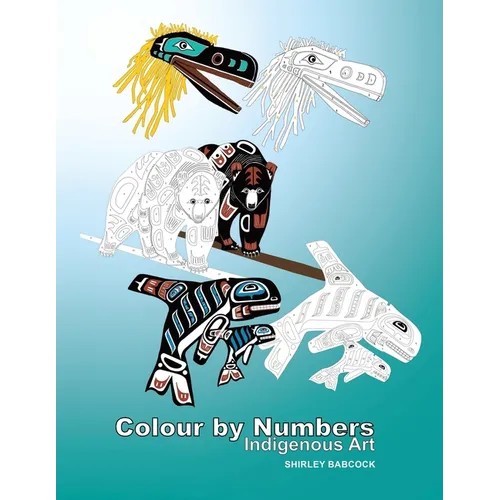Colour by Numbers: Indigenous Art