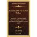 Condition Of The Indian Tribes: Report Of The Joint Special Committee, Appointed Under Joint Resolution Of March 3, 1865 (1867)