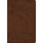 Study Bible-ESV-Personal Size - Imitation Leather