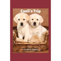Caeli's Trip