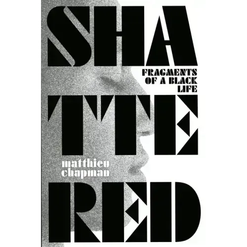 Shattered: Fragments of a Black Life