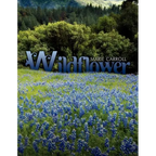 Wildflower
