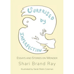 Surprised by Imperfection: Essays and Stories on Wonder - Paperback
