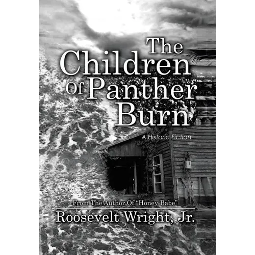 The Children of Panther Burn: A Historic Fiction
