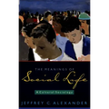 The Meanings of Social Life: A Cultural Sociology