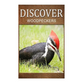 Woodpeckers - Discover: Early reader's wildlife photography book