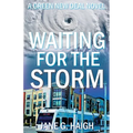 Waiting for the Storm: A Green New Deal Novel
