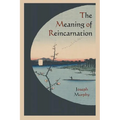 The Meaning of Reincarnation