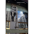 Seas of Glass and Barriers of Substance: A Global Survey of Windows and Portals