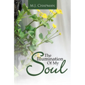 The Illumination of My Soul