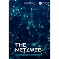 The Metaweb: The Next Level of the Internet