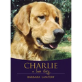 Charlie: A Love Story