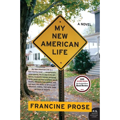 My New American Life