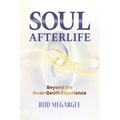 Soul Afterlife: Beyond the Near-Death Experience