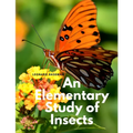 An Elementary Study of Insects
