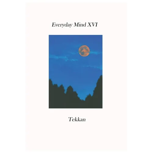 Everyday Mind XVI