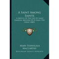 A Saint Among Saints: A Sketch Of The Life Of Saint Emmelia, Mother Of St. Basil The Great (1885)
