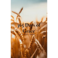 365 Days of Grace: A Devotional for the Working Mom
