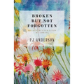 Broken But not Forgotten: Reconstructed Lives by Christ