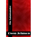 The Salamander: (Owen Johnson Classics Collection)