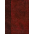 ESV Single Column Journaling Bible, Large Print (Trutone, Burgundy/Red, Timeless Design)