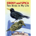 Ebony and Spica: Two Birds in My Life