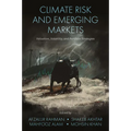 Climate Risk and Emerging Markets: Valuation, Volatility, and Portfolio Strategies