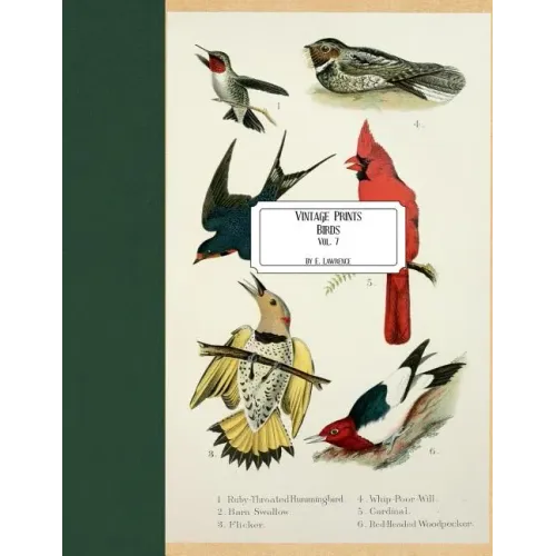 Vintage Prints: Birds: Vol. 7