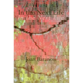 In the Next Life