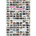 Brute Force: Cracking the Data Encryption Standard