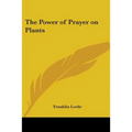 The Power of Prayer on Plants