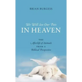We Will See Our Pets in Heaven: The Afterlife of Animals from a Biblical Perspective