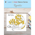 Reptiles - Paperback