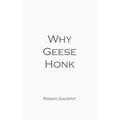 Why Geese Honk: The Power of Encouragement