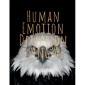 Human Emotion and Artificial Intelligence