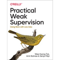 Practical Weak Supervision: Doing More with Less Data