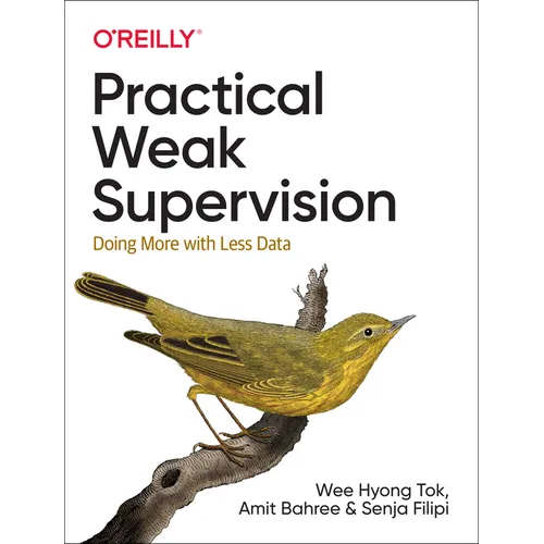 Practical Weak Supervision: Doing More with Less Data