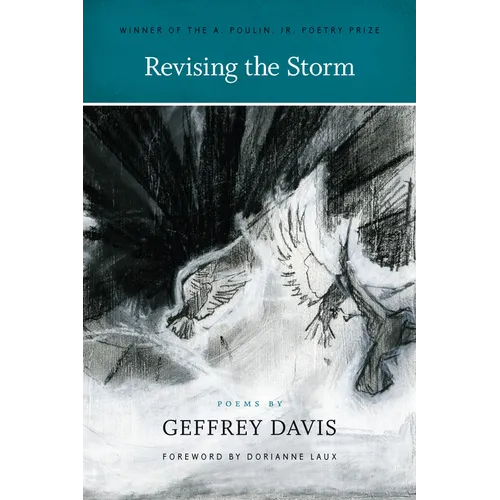Revising the Storm