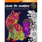 Color By Number For Adult: Coloring Book. 60 Color By Number Pages. New and expanded edition - Paperback