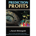 Prediction Profits: How to create and build a successful professional forecasting and prediction business.